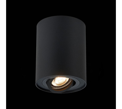 Потолочный светильник ST LUCE ST108.417.01