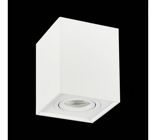 Потолочный светильник ST LUCE ST109.507.01