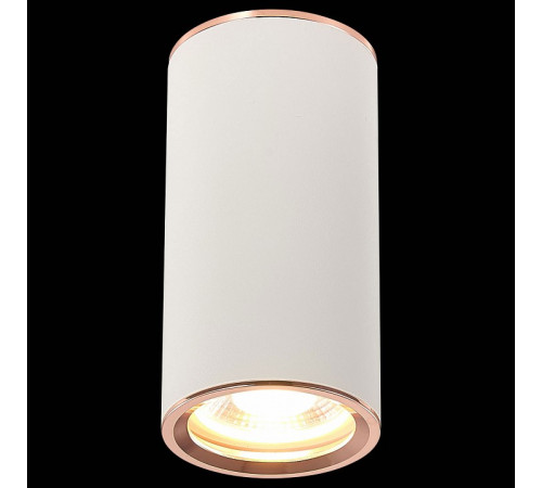 Потолочный светильник ST Luce Chomus ST111.527.01
