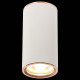 Потолочный светильник ST Luce Chomus ST111.527.01
