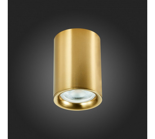 Накладной светильник ST Luce ST114 ST114.207.01 Накладной светильник ST Luce ST114 ST114.207.01