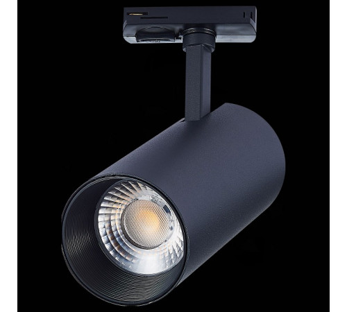 Трековый светильник ST LUCE MONO ST350.436.30.36