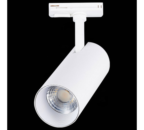 Трековый светильник ST LUCE MONO ST350.546.20.36