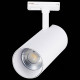 Трековый светильник ST LUCE MONO ST350.546.30.36