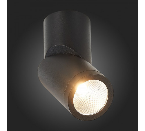 Светодиодный спот ST Luce ST650.432.10 Светодиодный спот ST Luce ST650.432.10