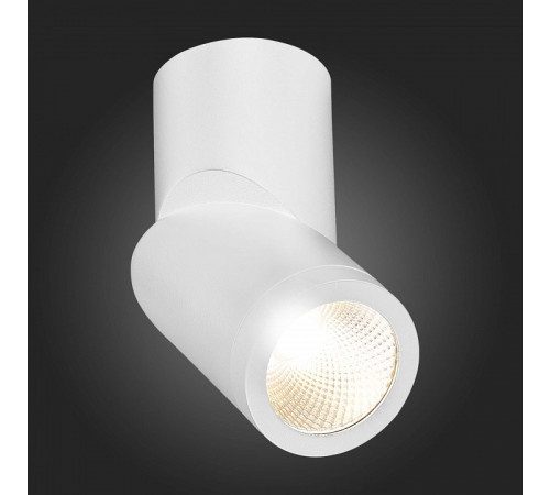 Светодиодный спот ST Luce ST650.532.10 Светодиодный спот ST Luce ST650.532.10