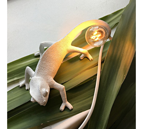 Настенный светильник Seletti Chameleon Lamp 15091 Настенный светильник Seletti Chameleon Lamp 15091