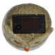 Светильник на солнечных батареях Uniel Special USL-S-813/GT160 OWL UL-00007867