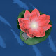 Светильник на солнечной батарее Uniel USL-S-826/PT060 RED WATERLILY UL-00011599