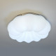 Потолочный светильник Zortes Soft ZRS.1118.2