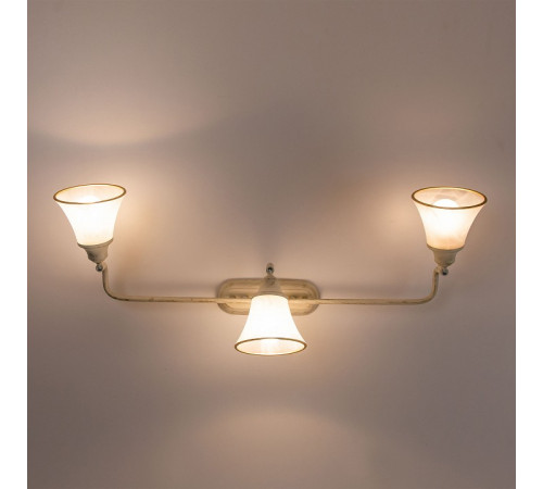 Спот Citilux Прованс CL511534
