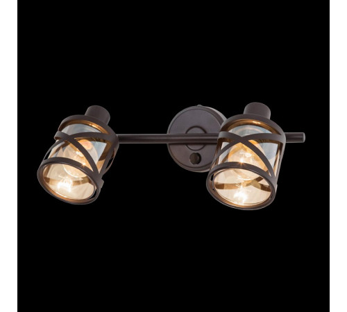 Спот Citilux Гессен CL536625 Спот Citilux Гессен CL536625
