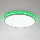 Потолочный светильник Citilux Norma LED RGB CL749400