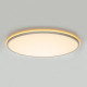 Потолочный светильник Citilux Norma LED RGB CL749600