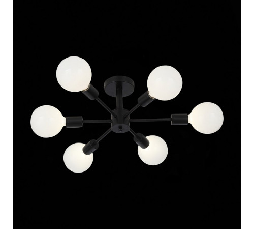 Потолочная люстра ST Luce Ano SL419.402.06