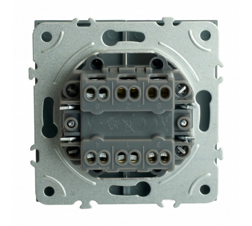 Переключатель 2-клавишный Stekker Эмили RSW10-5107-10 49947