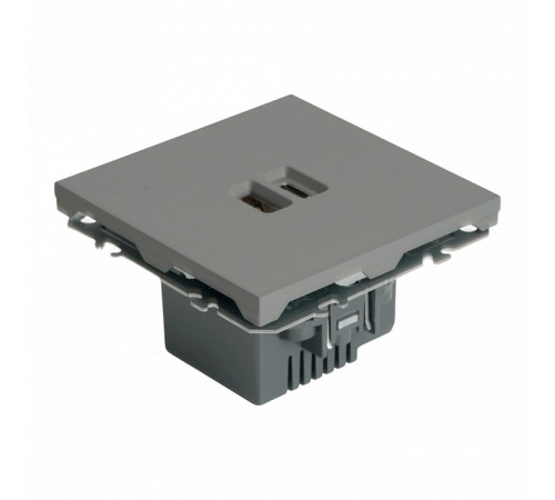 Розетка 2-местная USB + Type C Stekker Эмили RST10-5115-10 49957