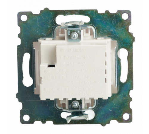Розетка 2-местная USB + type C Stekker Катрин GLS10-7116-01 50051