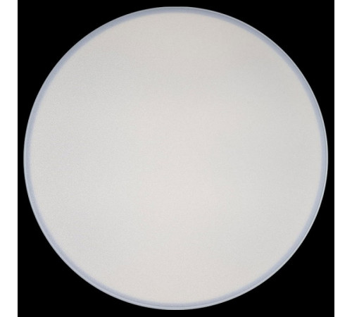 Потолочный светильник Loft IT AXEL 10002/24 White Потолочный светильник Loft IT AXEL 10002/24 White