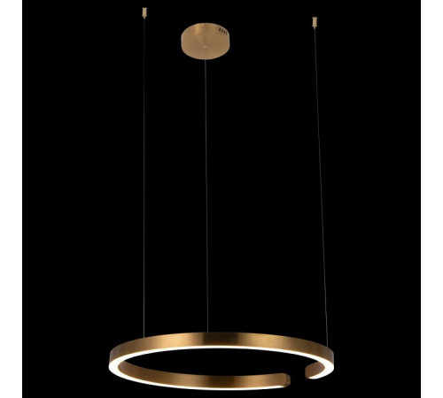 Подвесной светодиодный светильник Loft IT Ring 10013L