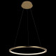 Подвесной светодиодный светильник Loft IT Ring 10014M