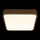 Потолочный светильник Loft IT Flims 10228/C