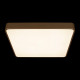 Потолочный светильник Loft IT Flims 10228/D
