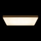 Потолочный светильник Loft IT Flims 10228/E