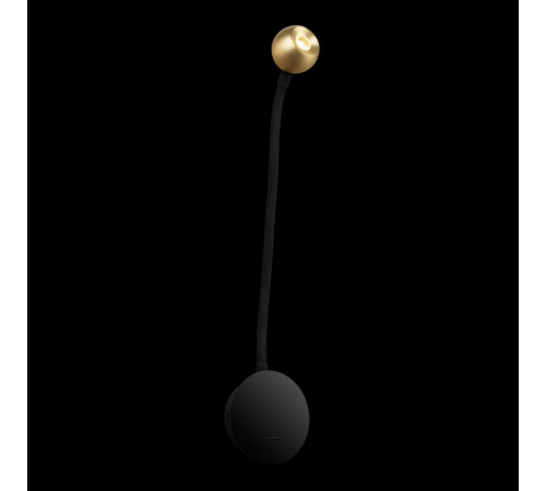 Гибкое бра Loft IT Point 10254 Brass