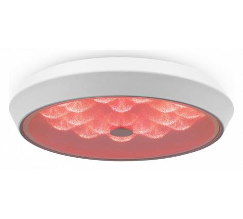 Потолочный светильник Freya Cells FR10012CL-L24W