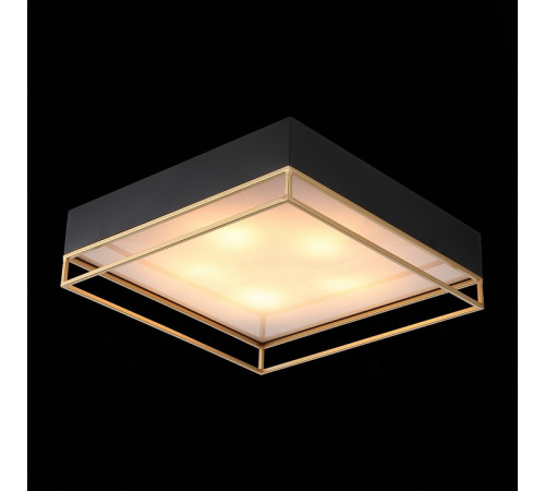Накладная люстра ST-Luce SL1127.422.05