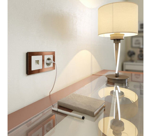 Розетка Wi-Fi Werkel слоновая кость W1171603 4690389176081 Розетка Wi-Fi Werkel слоновая кость W1171603 4690389176081