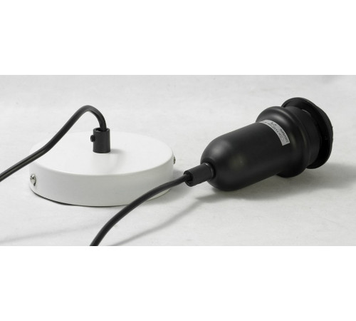 Подвесной светильник Lussole Loft LSP-9848 Подвесной светильник Lussole Loft LSP-9848