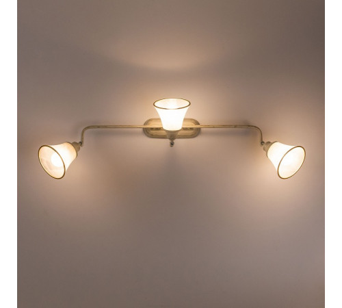Спот Citilux Прованс CL511534