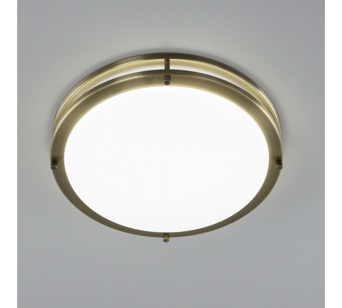 Потолочный светильник Citilux Бостон CL709323N