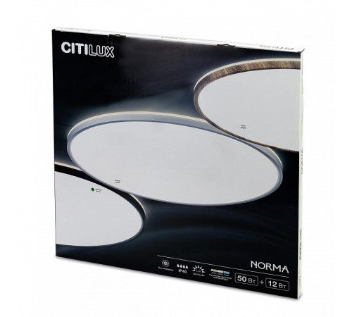 Потолочный светильник Citilux Norma CL748600