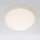 Потолочный светильник Citilux Norma CL749500