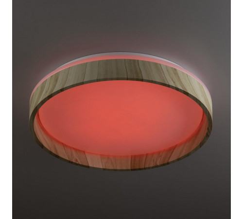 Потолочный светильник Citilux Enzo CL753352G