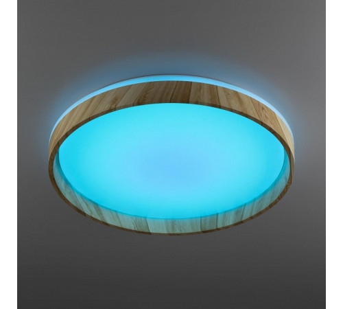 Потолочный светильник Citilux Enzo CL753452G