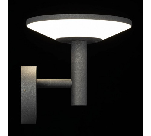 Уличный настенный светильник Citilux Dorn CLU05W