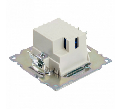 Розетка 2-местная USB + type C Stekker Катрин GLS10-7116-01 50051