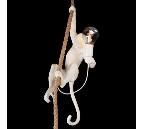 Подвесной светильник Loft IT Monkey 10314P