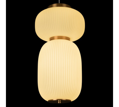 Подвесной светильник Loft IT Duff 10422/B