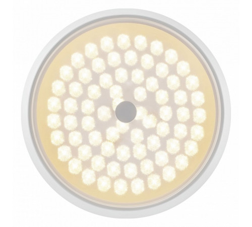Потолочный светильник Freya Cells FR10012CL-L24W
