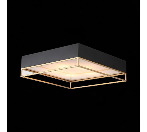 Накладная люстра ST-Luce SL1127.422.05