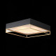 Накладная люстра ST-Luce SL1127.422.05