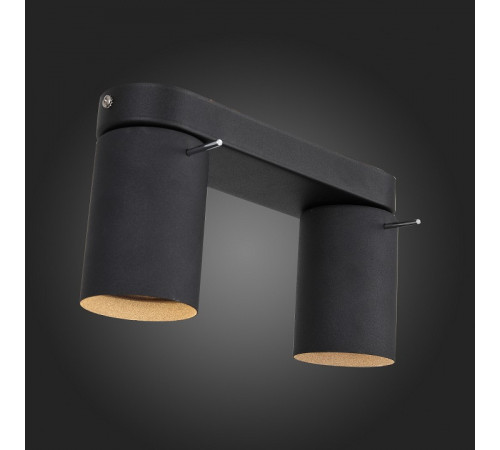 Светодиодный спот ST Luce Fanale SL597.401.02 Светодиодный спот ST Luce Fanale SL597.401.02