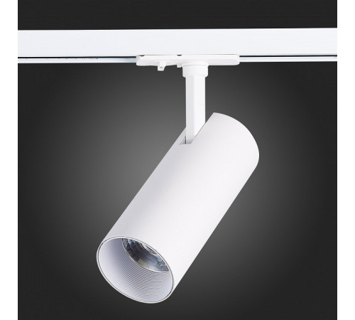 Трековый светильник ST LUCE MONO ST350.536.20.36