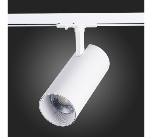 Трековый светильник ST LUCE MONO ST350.536.30.36
