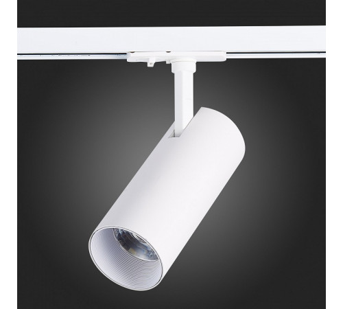 Трековый светильник ST LUCE MONO ST350.546.20.36